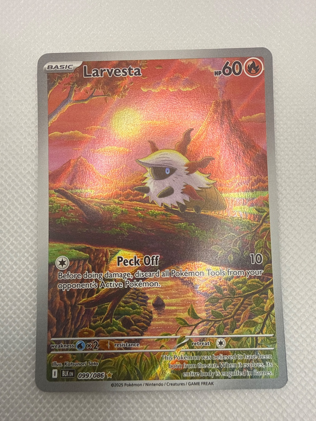 larvesta pokemon card 029/189 x4 - DAA Unknown Take Down This Pokemon also does 10 damage to itself. Larvesta Reverse Holo 024/191 -